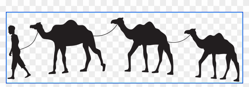 Awesome Camel Caravan Silhouette Png Clip Art Gallery - Camel Silhouette Png #873138