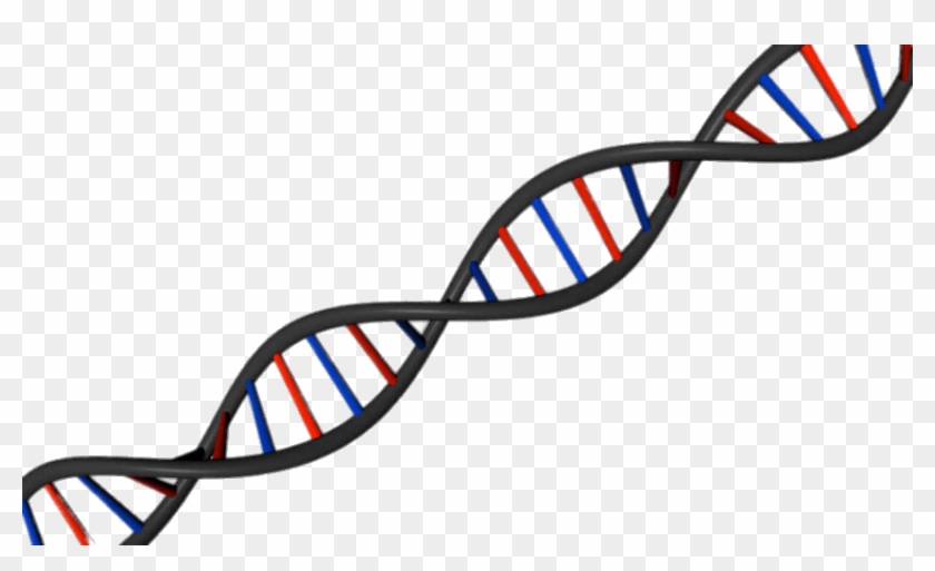 Dna String Diagonal Download In Png Format - Dna White Background #876420