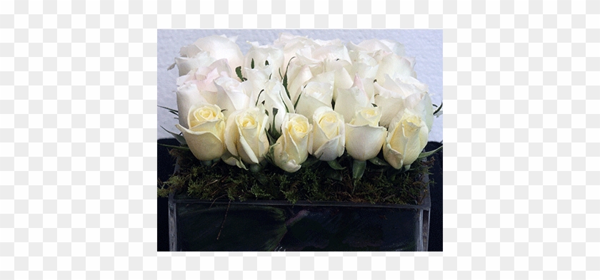 Arrangement White Roses Square Vase - Arrangement White Roses Square Vase #876883