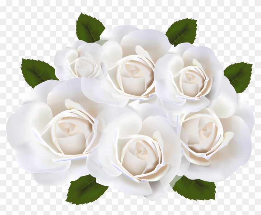 White Roses Png Clip Art Transparent Image - White Roses Clipart Png #876885