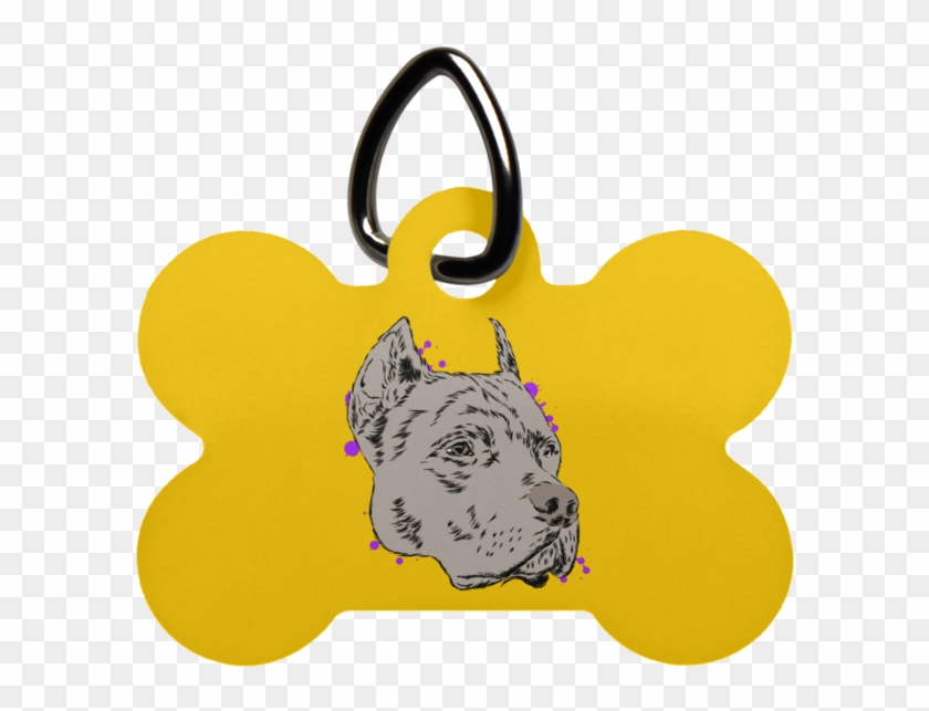 Pit Bull Dog Bone Pet Tag - Fotoprint: Pitbull In An Unusual Hat And Sunglasses. #877935