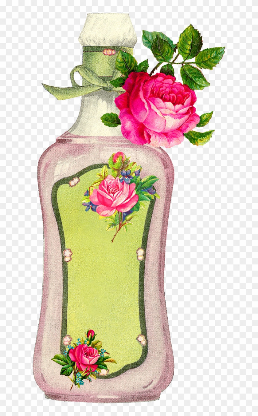 Beauty Rose Bottle Blank Label Image - Garden Roses #879338