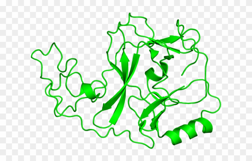 <div Class='caption-body'>1 Copy Of Cath Domain < - <div Class='caption-body'>1 Copy Of Cath Domain < #880608