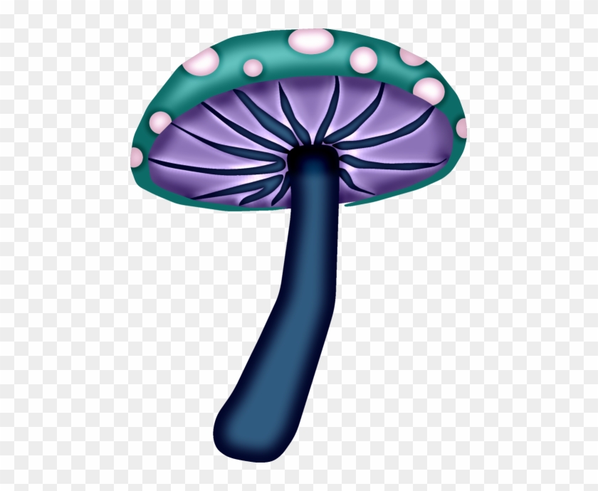 Shrooms ‿✿⁀°••○ - Mushroom #880749