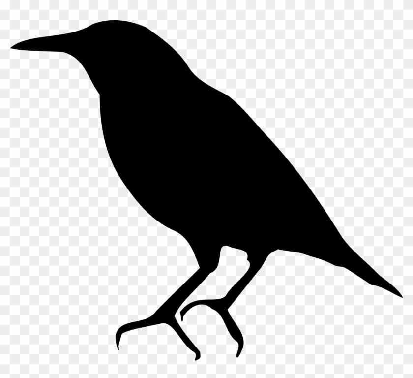 European Starling Silhouette - Portable Network Graphics #881529