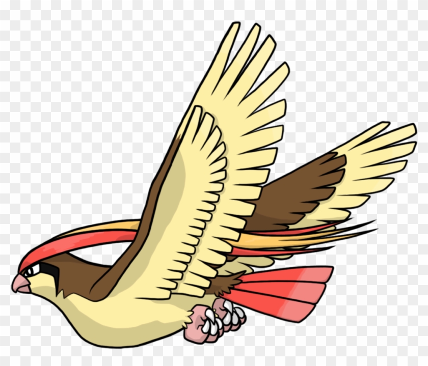 Pidgeot By Hogia - Pidgeot Png #881694