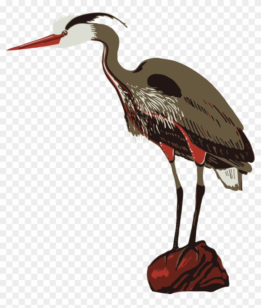 Bird 9 - Zoo Clip Art #883027