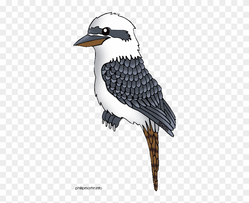 Bird Clipart Kookaburra - Kookaburra Clipart #883089