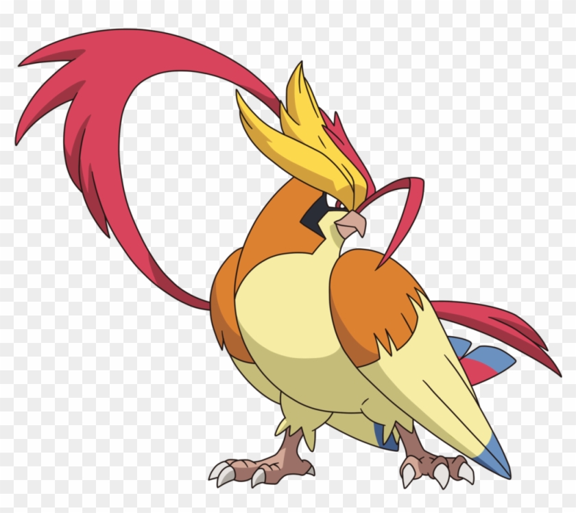 018-mega Pidgeot By Tzblacktd - Pidgeot #883590