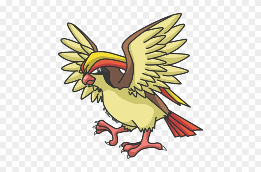 Pidgeot #883592