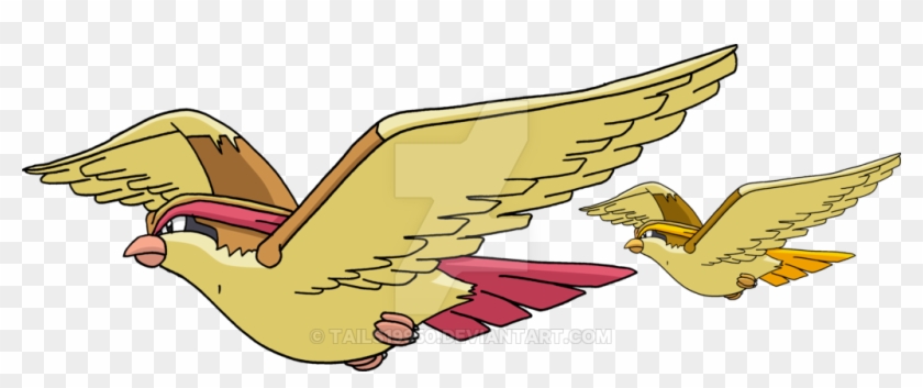 Pidgeot By Tails19950 - Pidgeot Png #883620