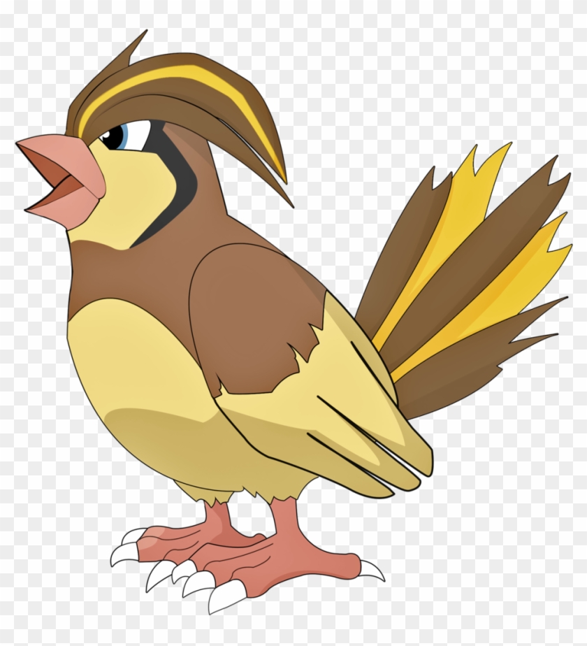 Kurczak By Kurczak9 On Deviantart - Pidgeotto #883651