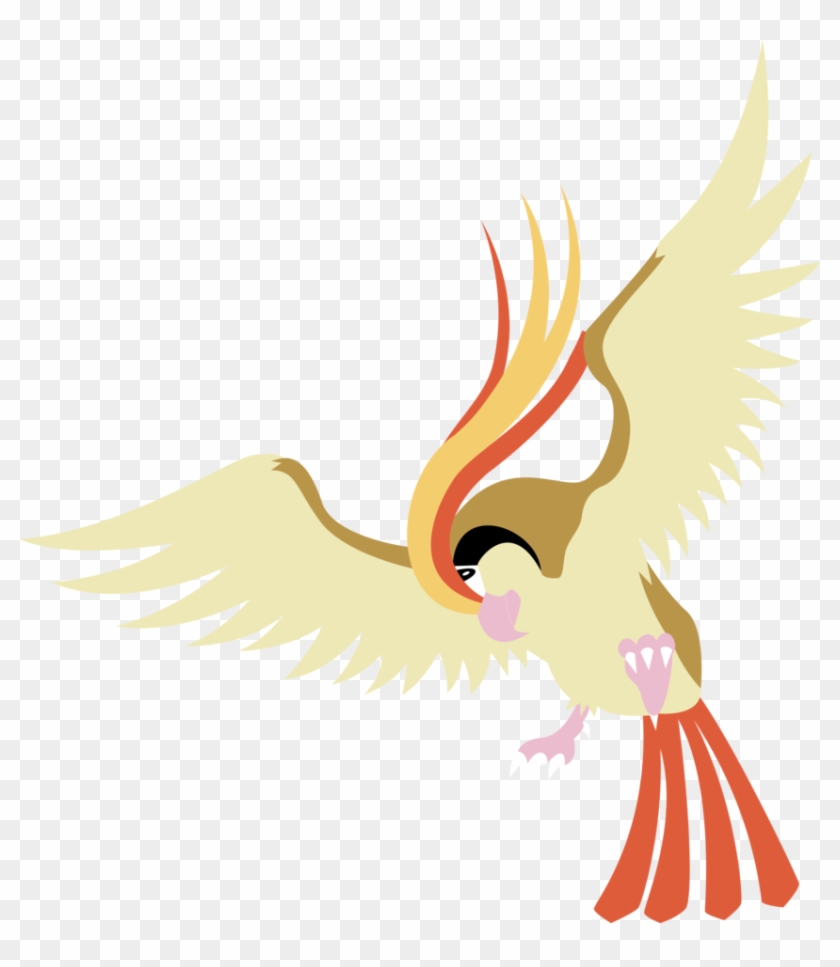 Pidgeot Vector By Chelagirl - Pidgeot - Free Transparent PNG Clipart ...