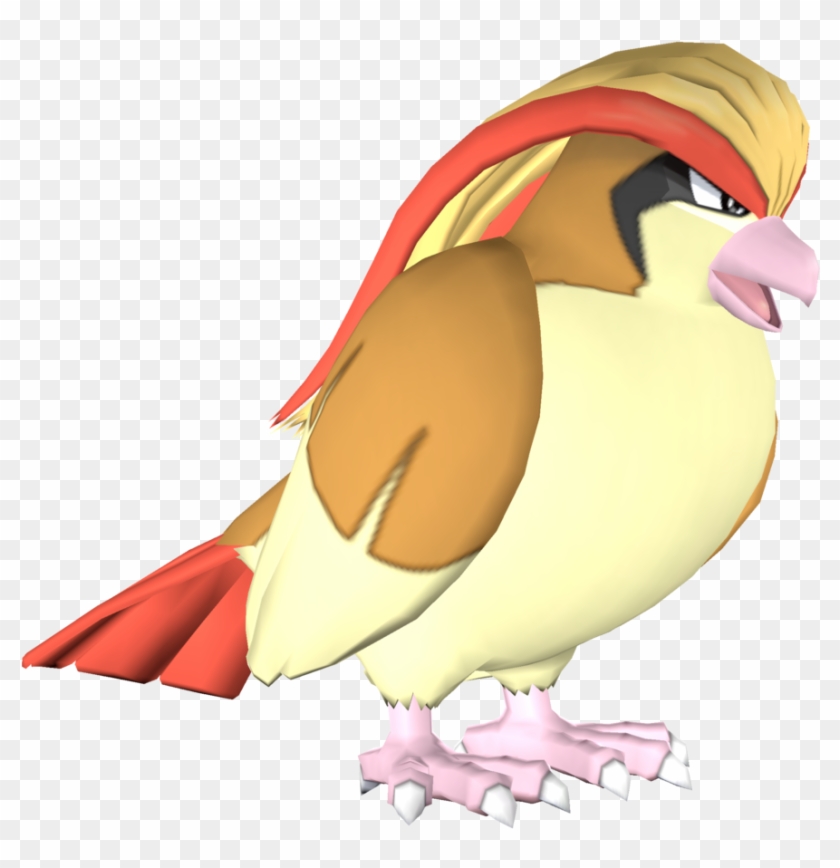 Pidgeot [render] By Arrancon - Digital Art #883674