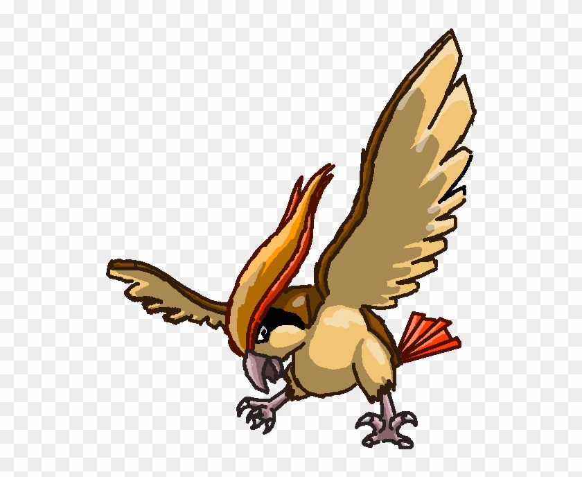 Pidgeot By Superstupidy - Illustration #883697