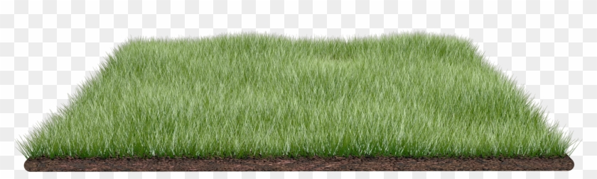 Grass Field Png By Dabbex30 Grass Field Png By Dabbex30 - Piece Of Grass #884696