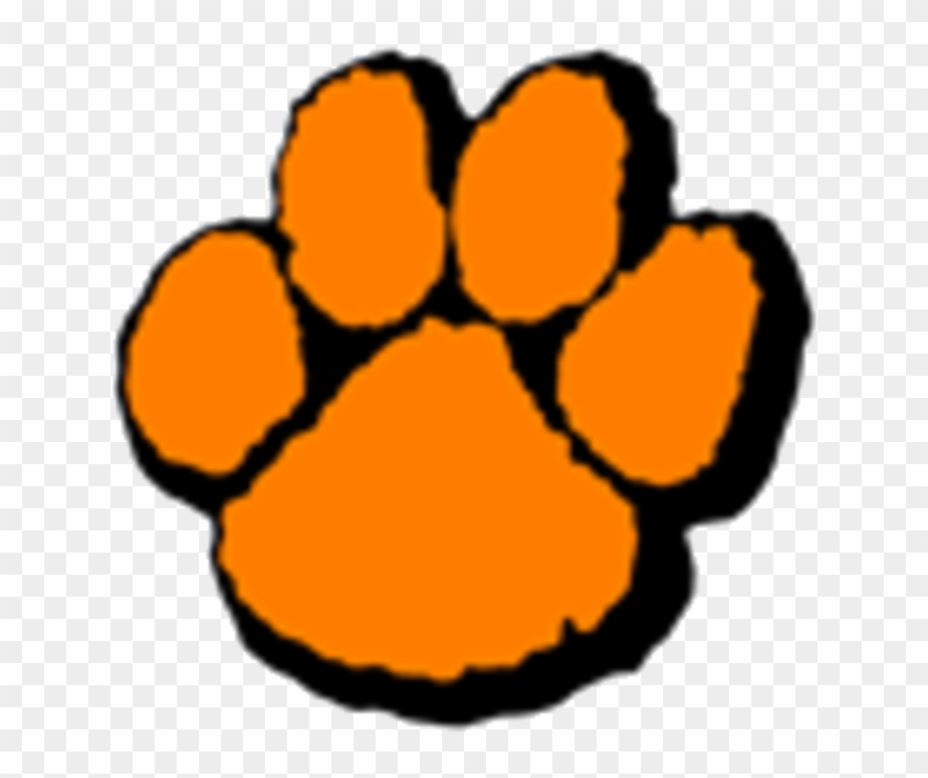 Wheaton-warrenville South Logo - Wheaton Warrenville South High School Logo #884773