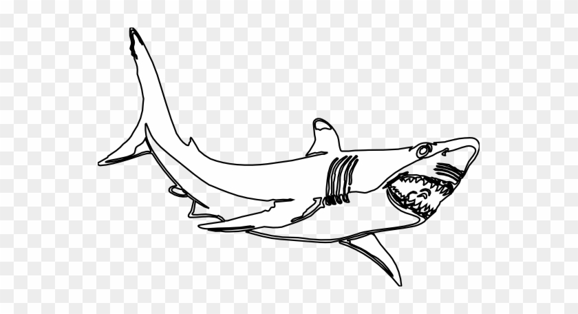 Shark Clip Art Black And White - Shark Black And White #885328