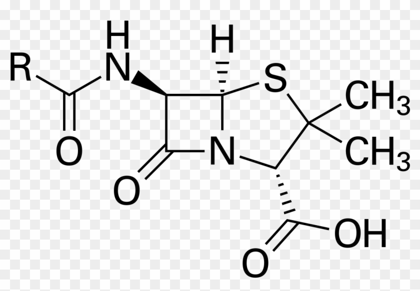 Penicillin Structure #885559