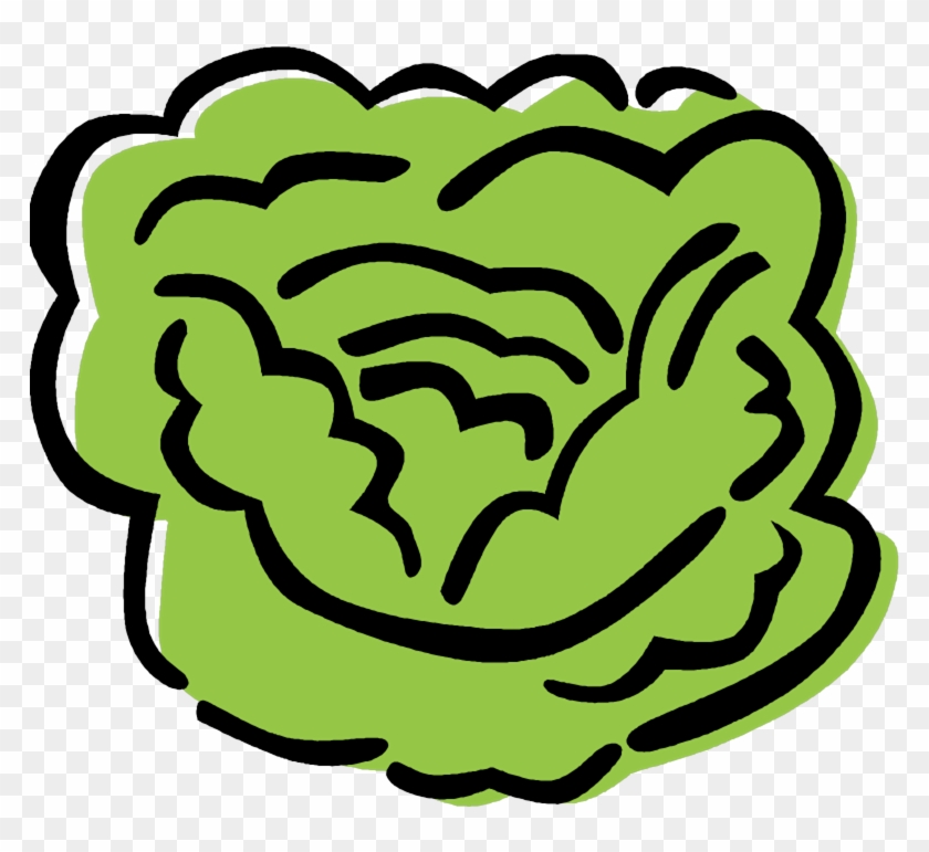 Lettuce - Clip Art #886651