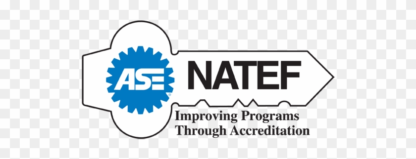 Does Your Vehicle Need Service - Natef Accreditation #889322