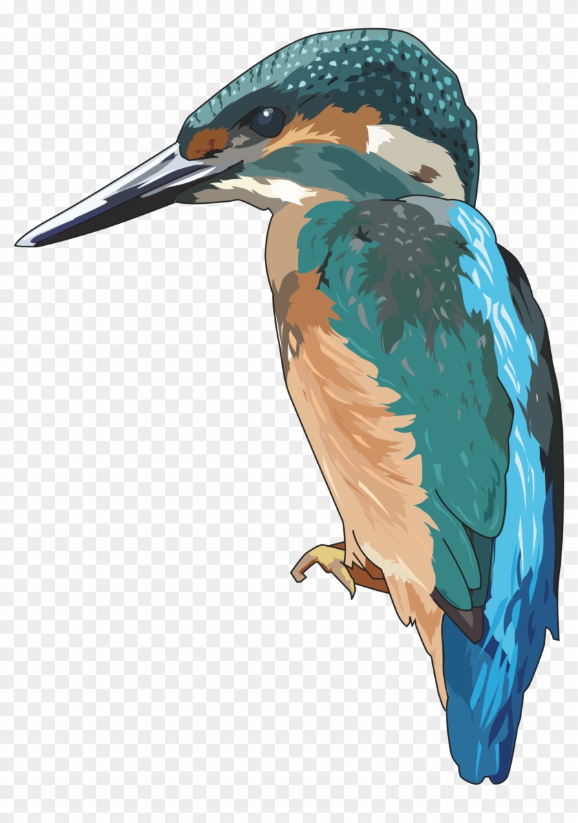 Kingfisher Png - Kingfisher Clipart #891836