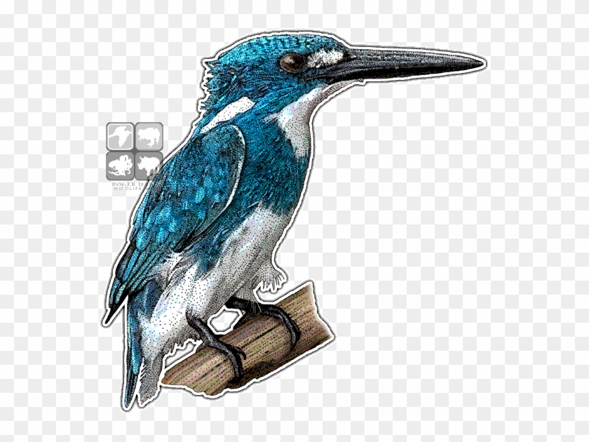 Cerulean Kingfisher Art Decal - Art #891885