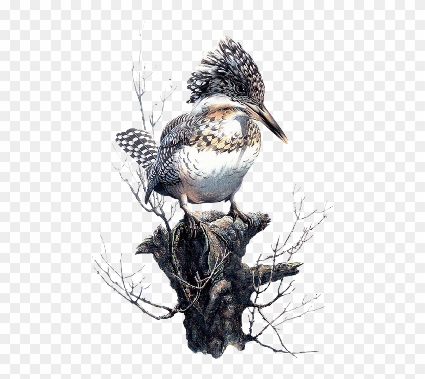 枝头鸟儿免抠png透明图片素材 38张 Birds In Art Free Transparent Png Clipart Images Download
