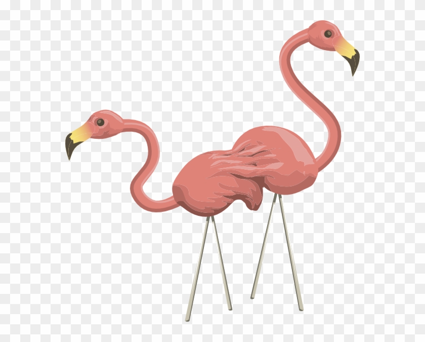 Npc Flamingo - Flamingo Gifs #892112