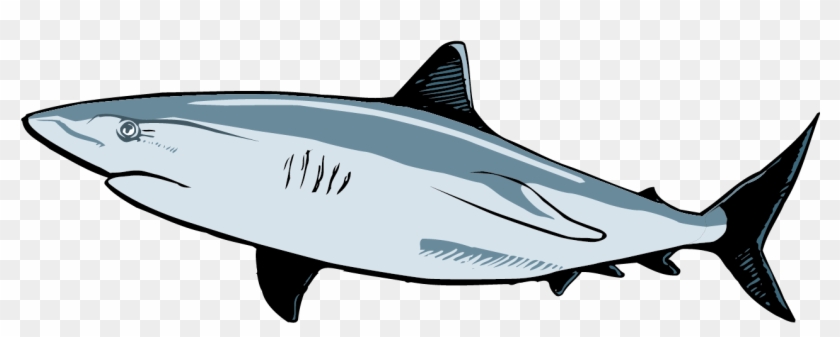 Requiem Shark Great White Shark Clip Art - Requiem Shark Great White Shark Clip Art #892155