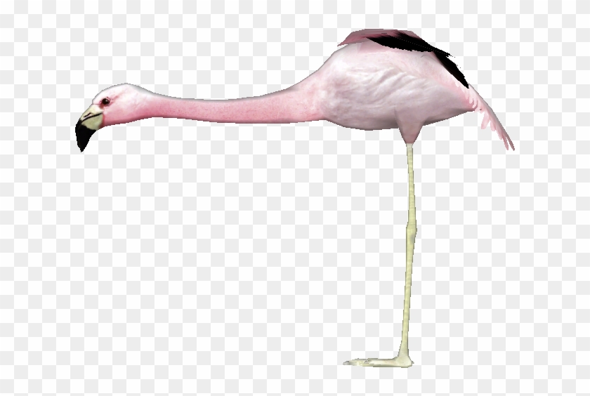 Flamingoandean Lgcfm - Spoonbill #892190