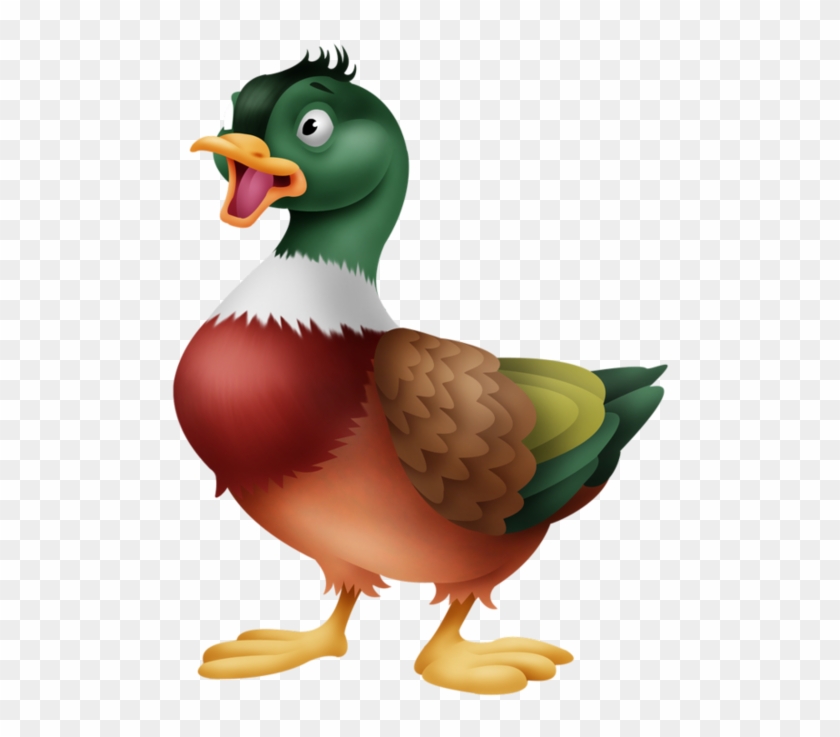 Canard - Duck #892687