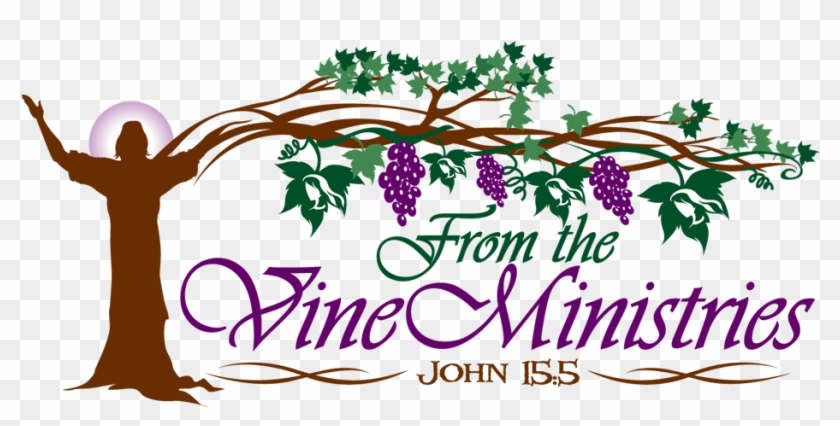 From The Vine Ministries - Jesus Is The Vine #893123