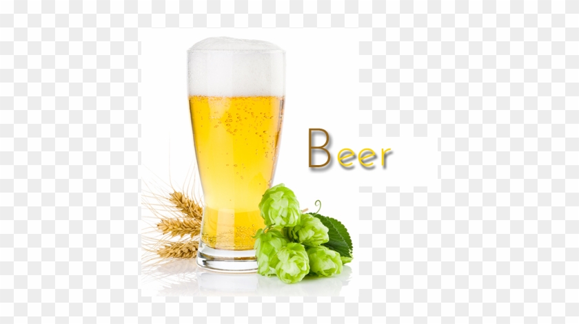 Field Of Biotechnologies And Of Processing Products - Beer How To Make #893638