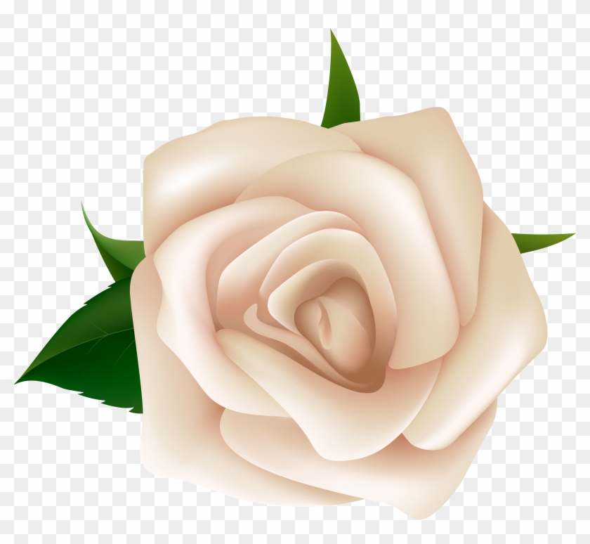 White Rose Clipart Png Image - White Rose Clip Art Png #894582