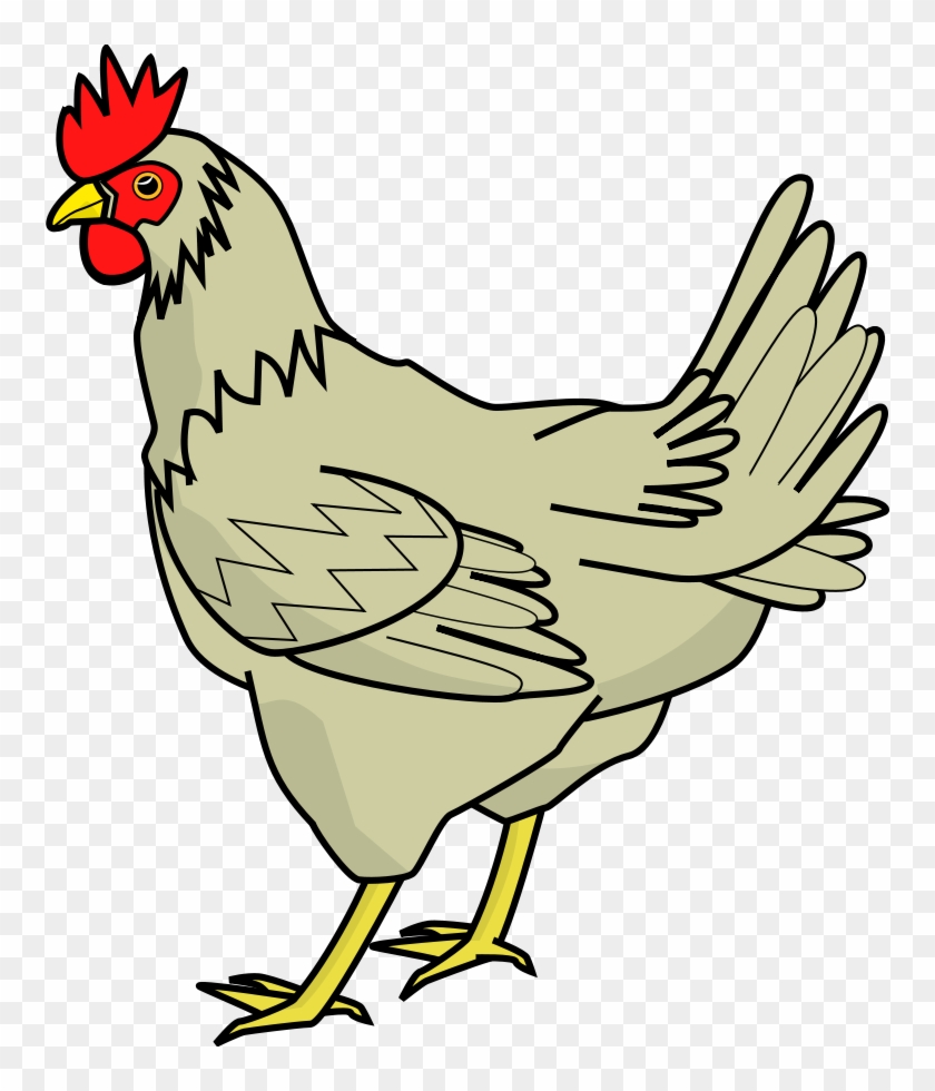 Chicken Clip Art - Chicken Clipart - Free Transparent PNG Clipart ...