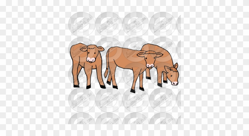 Pin Cow And Calf Clipart - Calf #897717