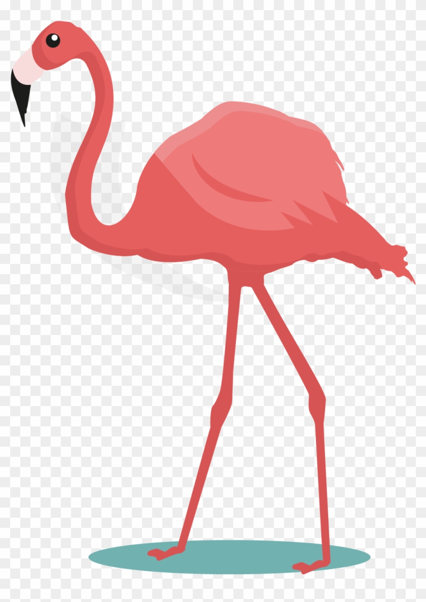 Flamingos Bird Common Ostrich Parrot Cartoon - Bird #899785