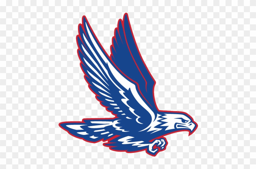 Central Academy Of Excellence Eagles - Central Academy Of Excellence Eagle #900680