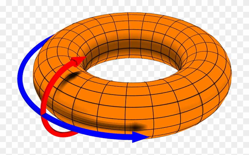 Toroidal Coordinate System - Poloidal #901296