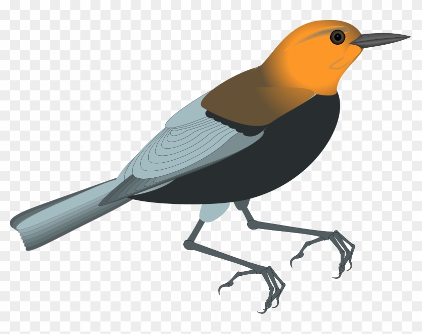 Free Vector Bird - Clip Art #903262