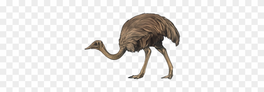 Confusedostrichday - Emu #903425