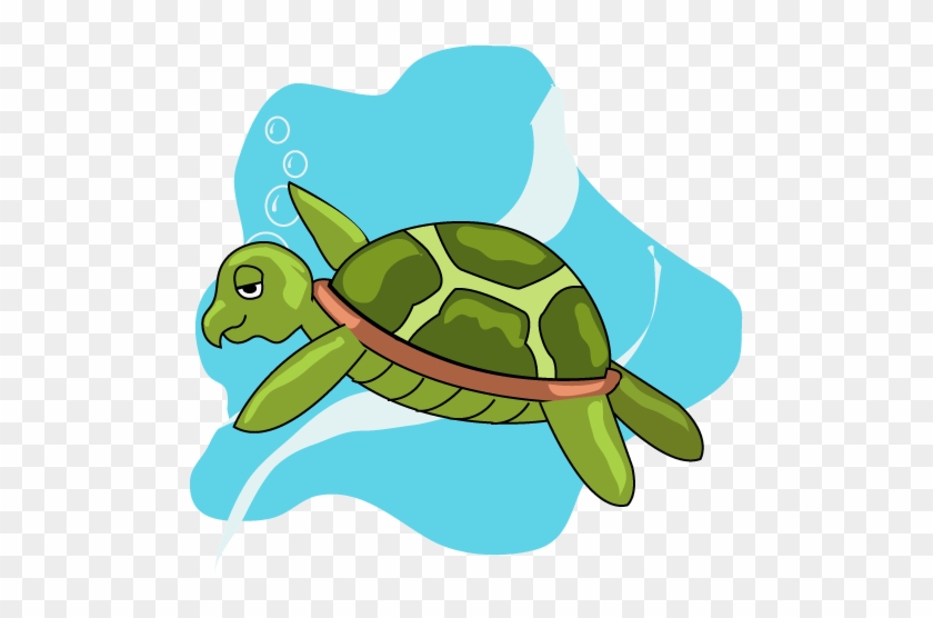 Turtles Are A Mixed Key Stage 2 Class - Special School #904627