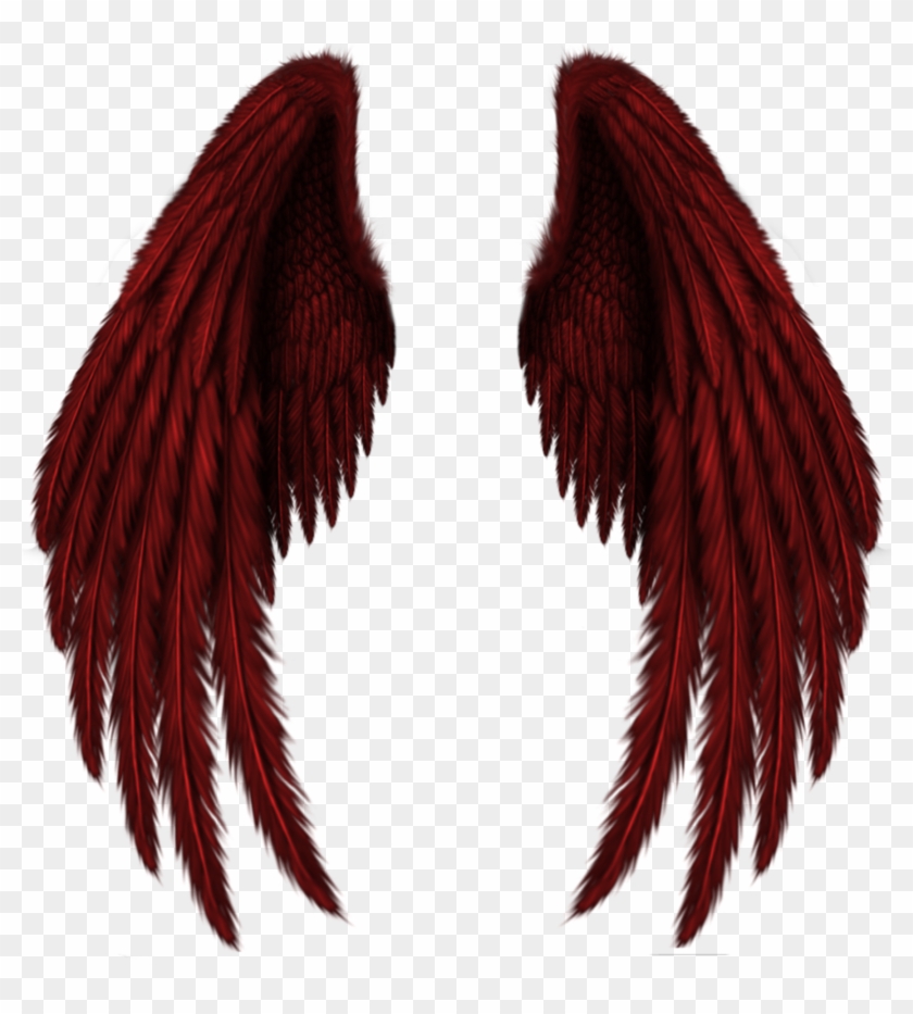 Transparent Red Wings Png Clipart Picture - Red And Black Wings #904979