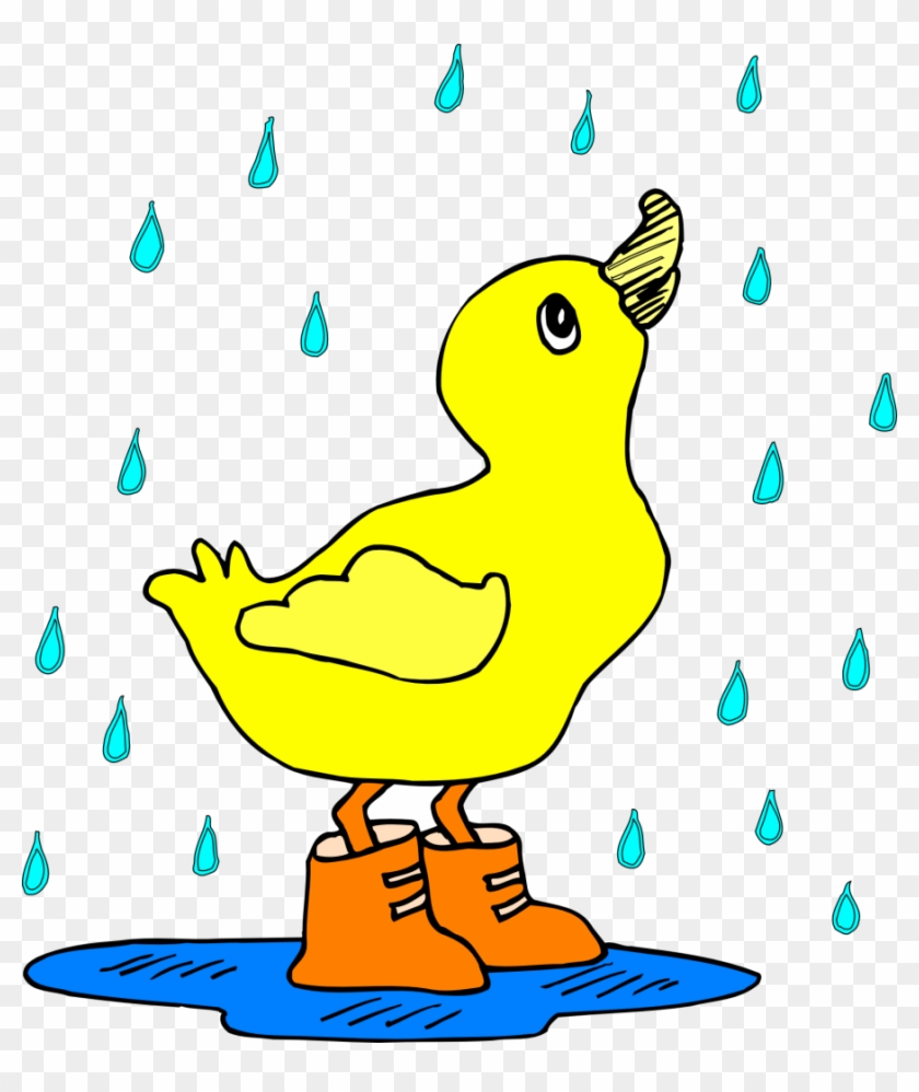 Duck In Rain Boots #18929