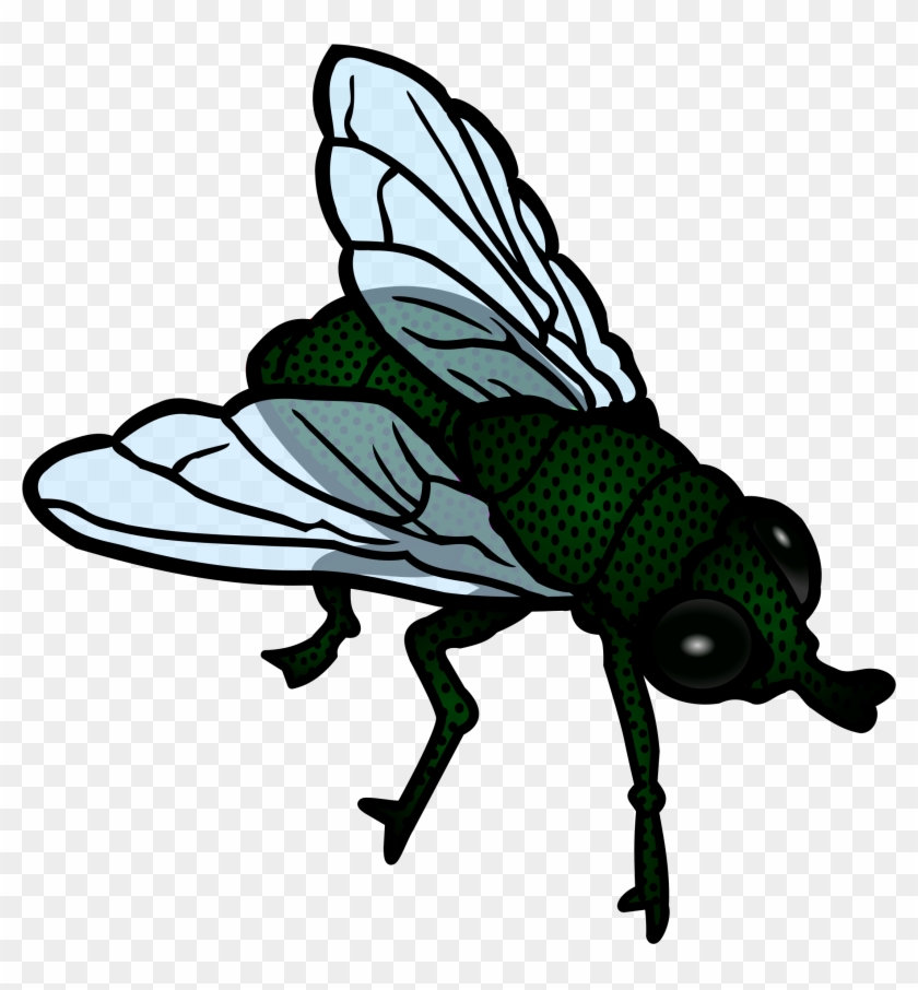 Fly Clip Art Fly Clipart Png Free Transparent Png Clipart Images Download