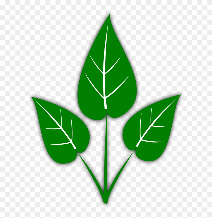 Leaf Free Leaves Clipart Free Clipart Graphics Images - Hydroponics Gardening: How To Start Hydroponics System, #23299