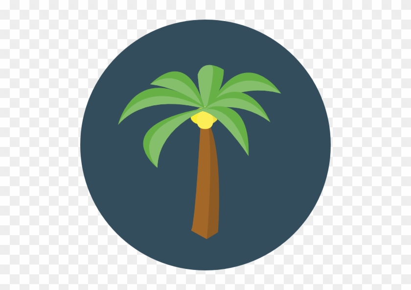 Size - Palm Trees #25399