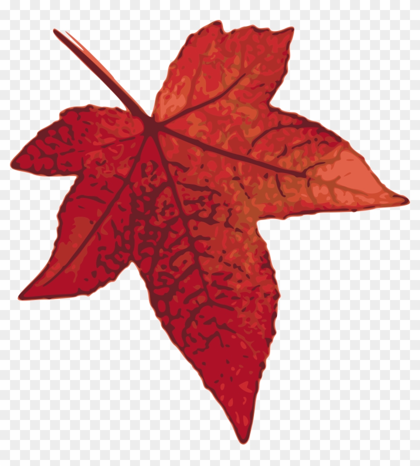 Clipart - Maple Leaf Clip Art #27019