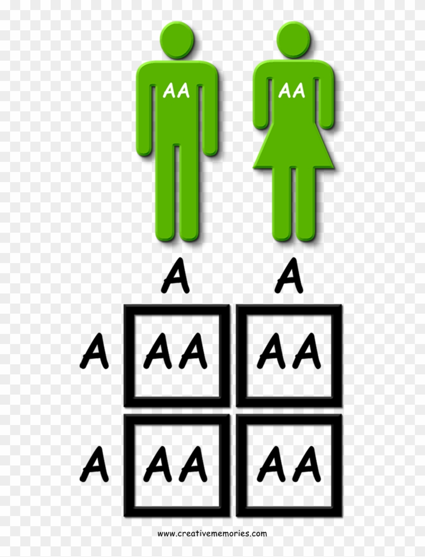 In This Genetic Distribution, Neither Parent Carries - In This Genetic Distribution, Neither Parent Carries #908704